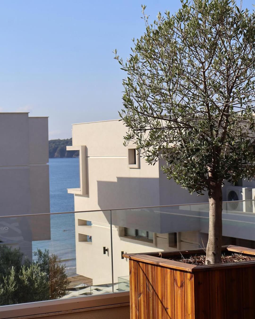 Olive Villas Beach Hotel Sozopol Exteriör bild